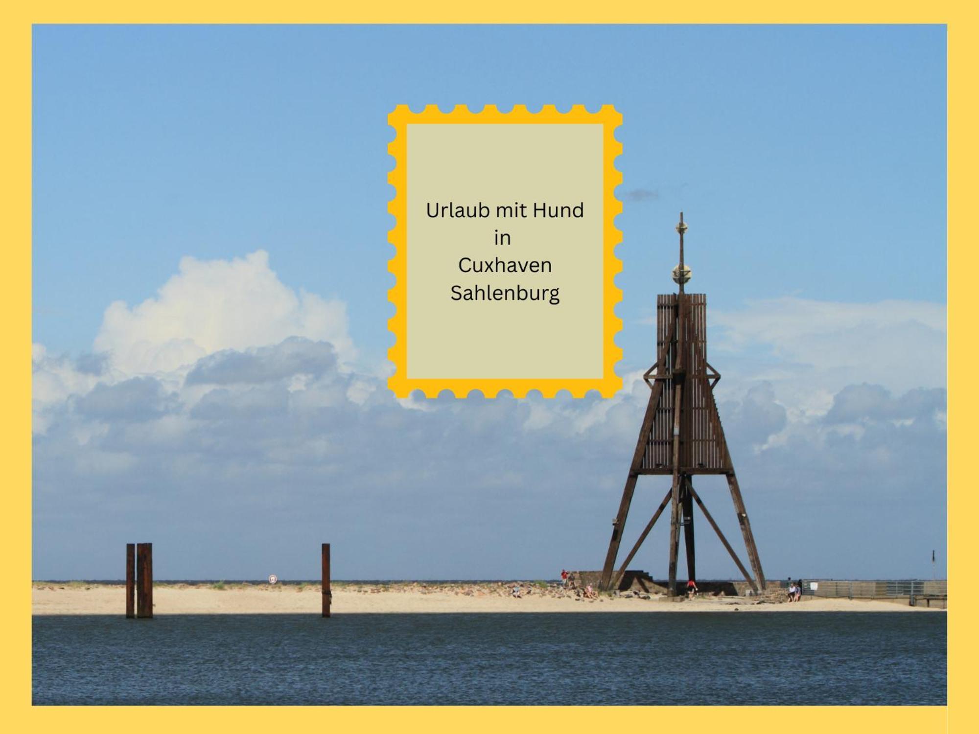 Strandloft Cuxhaven Im Haus Frauenpreiss Sahlenburg - Strandnah - 2 Hunde Willkommen -Schwimmbad - Sauna - Direkt Am Wald - Dachterrasse Mit Blick Nach Neuwerk Bagian luar foto